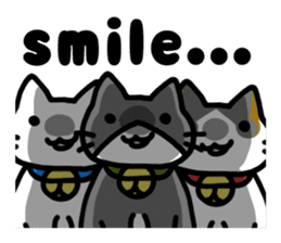 Three cats of a pet sticker #10236936