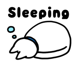 Three cats of a pet sticker #10236954