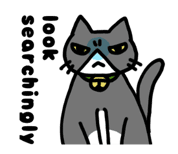 Three cats of a pet sticker #10236965