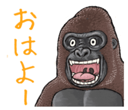 Cheerful gorilla sticker #10237376