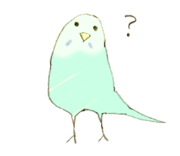 Budgerigar Kuu sticker #10241617