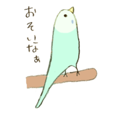 Budgerigar Kuu sticker #10241618