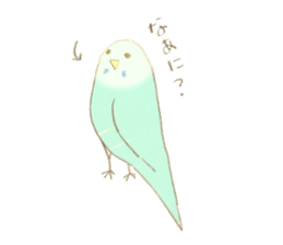 Budgerigar Kuu sticker #10241620