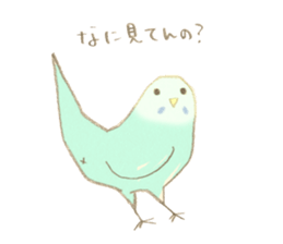Budgerigar Kuu sticker #10241622