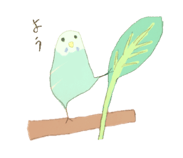 Budgerigar Kuu sticker #10241627