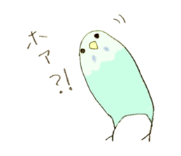 Budgerigar Kuu sticker #10241629