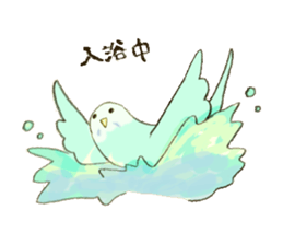 Budgerigar Kuu sticker #10241632