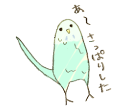 Budgerigar Kuu sticker #10241633