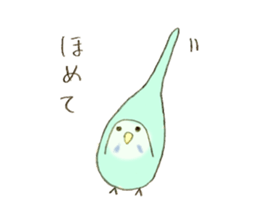Budgerigar Kuu sticker #10241636