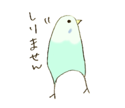 Budgerigar Kuu sticker #10241641