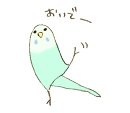 Budgerigar Kuu sticker #10241642