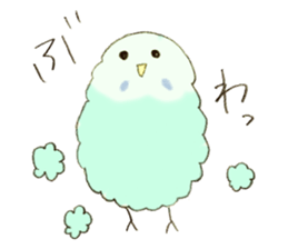 Budgerigar Kuu sticker #10241643