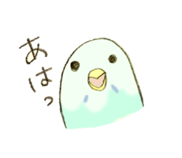 Budgerigar Kuu sticker #10241646