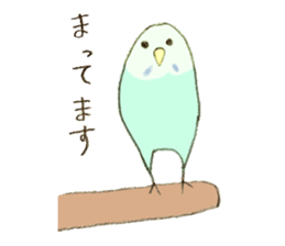 Budgerigar Kuu sticker #10241651