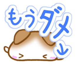 Sticker of Scottish Fold sticker #10244864