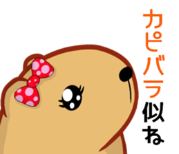 Kyapibara women's sticker #10246276