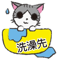 Gray tabby cat's daily sticker #10247650