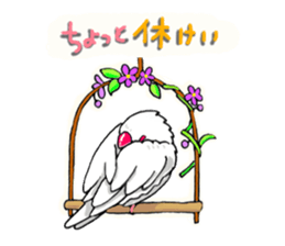 Birds of Variety pack sticker #10248857