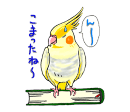 Birds of Variety pack sticker #10248874