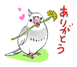 Birds of Variety pack sticker #10248876