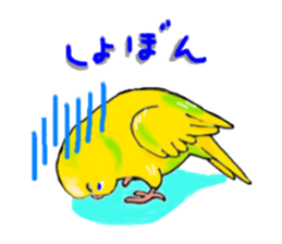 Birds of Variety pack sticker #10248881