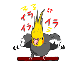 Birds of Variety pack sticker #10248882