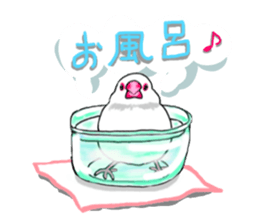 Birds of Variety pack sticker #10248892