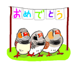 Birds of Variety pack sticker #10248895