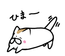 Scruffy cat sticker #10249305