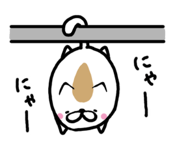 Scruffy cat sticker #10249320