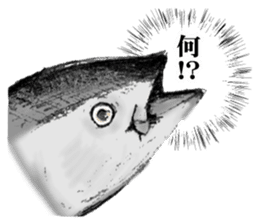 tuna fish maguro! sticker #10249626