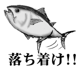 tuna fish maguro! sticker #10249631