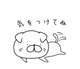 Everyday cat (Scottish Fold) sticker #10250341