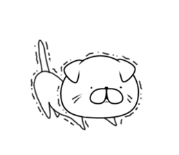 Everyday cat (Scottish Fold) sticker #10250355