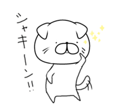 Everyday cat (Scottish Fold) sticker #10250369