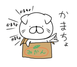 Everyday cat (Scottish Fold) sticker #10250371