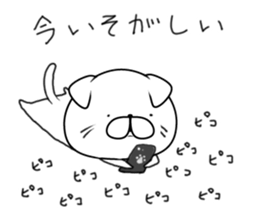 Everyday cat (Scottish Fold) sticker #10250373