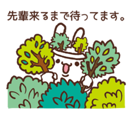 Rabbit love the seniors. sticker #10250381