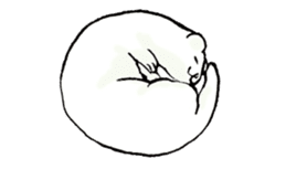 BELLE the WEASEL 2nd -Itachi No Belle- sticker #10250732