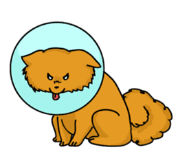 I Miss You, My Tiny Dog sticker #10252036