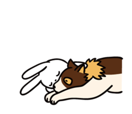 Intently sleepy rabbit sticker #10252171