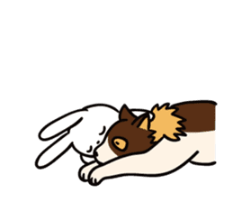 Intently sleepy rabbit sticker #10252171