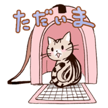 Mocha of american shorthair sticker #10253898