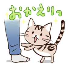Mocha of american shorthair sticker #10253899