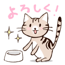 Mocha of american shorthair sticker #10253900