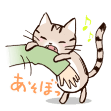 Mocha of american shorthair sticker #10253901