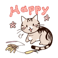 Mocha of american shorthair sticker #10253902