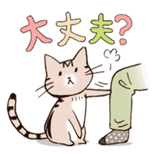 Mocha of american shorthair sticker #10253908