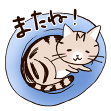 Mocha of american shorthair sticker #10253910