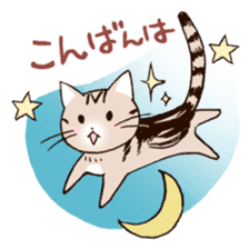 Mocha of american shorthair sticker #10253911